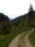 Schwarzwald-Wanderweg, wie er sein sollte