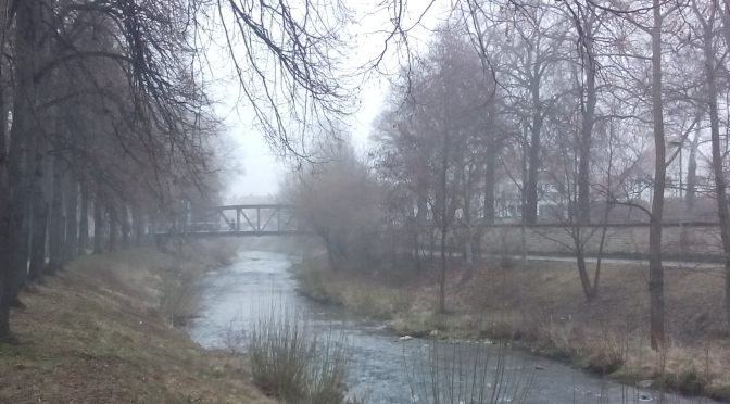 Schellenbergbrücke im Frühlingsnebel